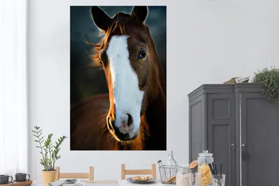 Produktbild von MuchoWow® Poster Pferd - Kopf - Licht 120x180 cm - Kunstposter