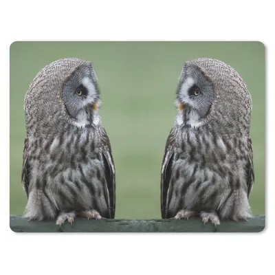 Produktbild von MuchoWow® Mauspad Mousepad Steinkäuze 40x30 cm - Mousepads - Maus Mat - Pad - Mausunterlage - Anti Rutsch