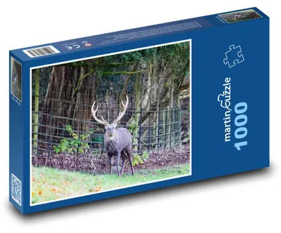 Obrázek produktu pro Puzzle 1000 Divoký jelen v lese - martinpuzzle