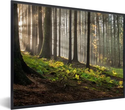 Produktbild von MuchoWow® Gerahmtes Poster Sonne - Äste - Bäume - Wald - Natur 80x60 cm - Poster mit Schwarzem Bilderrahmen Wandposter Rahmen Foto Bilder - Schwarzem - Mit Gestell