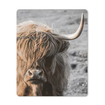 Produktbild von MuchoWow® Mauspad Mousepad Schottischer Highlander - Tier - Porträt 30x40 cm - Mousepads - Maus Mat - Pad - Mausunterlage - Mausmatten