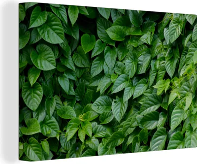 Produktbild von OneMillionCanvasses® - Leinwandbilder - 150x100 cm, Grüne Blätter, Wandbilder Kunstdruck Wanddekoration