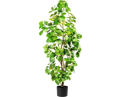 Produktbild von Kunstpflanze Eucalyptus Höhe: 105 cm grün