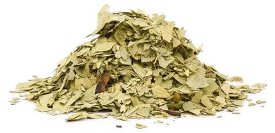 Produktbild von Sennesblatt (Cassia angustifolia) - Kraut, 1000g