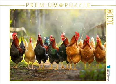 Produktbild von CALVENDO Puzzle Auf zum gemeinsamen Spaziergang | 1000 Teile Lege-Größe 64x48cm Foto-Puzzle für glückliche Stunden
