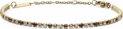 Productafbeelding van Armbanden, tennisarmband, Daniel Wellington, goud. Collectie tennisarmbanden - dames