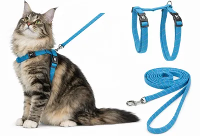 Image de Flamingo harnais avec laisse pour grand chat Elza bleu
