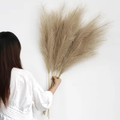 Immagine prodotto di Solidchoice - Set di 6 steli di pampas artificiale morbido, ideali per vasi