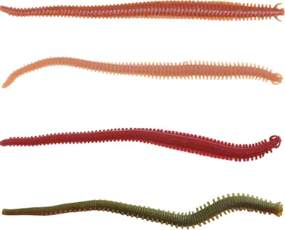 Produktbild von Berkley Gulp! Alive Nereis 15cm - Gummiköder, Farbe:Bloody