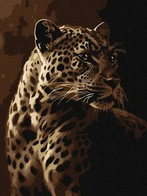 Produktbild von Malen nach Zahlen – Leopardenmotiv, 30x40 cm – Ideyka