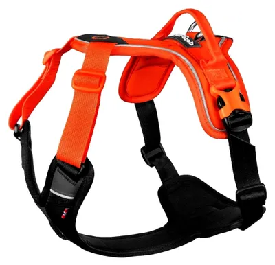 Produktbild von Ramble Harness | orange | Führ und Alltagsgeschirr, Größe:XL