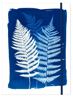 Immagine prodotto di Cianotipia, cartella raccoglitrice 24x32 cm