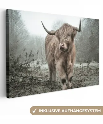 Produktbild von MuchoWow® - Leinwandbilder - Schottische Highlander - Natur - Herbst - Tiere - Wildtiere - Wald, Wandbild, Wanddeko Bilder Wohnzimmer, 90x60 cm