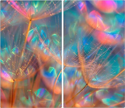 Produktbild von Spritzschutz Herdabdeckplatte Schneidebrett aus Glas Schimmernde Natur 2-Teilig (60x52cm)