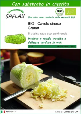 Immagine prodotto di SAFLAX  -- Cavolo cinese - Granat - 40 semi - Con substrato - Brassica