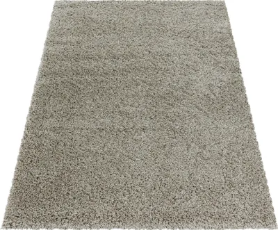 A close-up, angled view of a shaggy, high-pile rug on a white background.