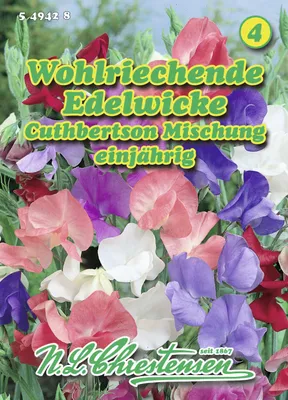 Artikelbild 1 von 'Edelwicke Cuthbertson PrachtMischung' aus der Kategorie Wickensamen