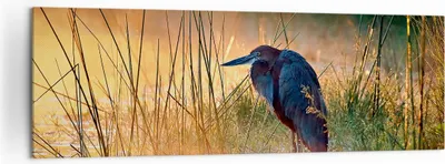 Produktbild von Bild auf Leinwand - Leinwandbild - Vogel Natur Wasser - 160x50cm - Wand Bild - Wanddeko - Leinwanddruck - Bilder - Kunstdruck - Wanddekoration - Leinwand bilder - Wandkunst - AB160x50-3708