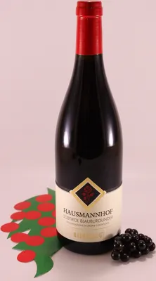 Produktbild von Blauburgunder Hausmannhof - 2022 - Haderburg