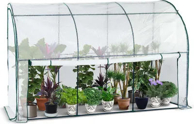A small greenhouse filled with various potted plants.