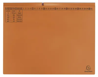 Produktbild von Exaflex Kanzlei Hängehefter 2 Abheftvorrichtungen Rechtsheftung 265x318mm Orange