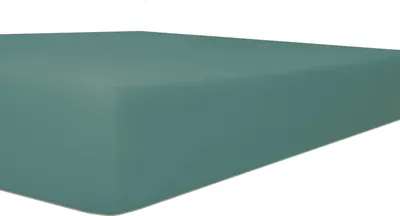 Produktbild von Kneer Spannbetttuch extra hoch Exlusive-Stretch Q93 180x200 bis 200x220 cm 180x200 ++
