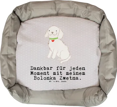 Produktbild von Mr. & Mrs. Panda Welpenkissen Bolonka Zwetna Moment - Grau Pastell - Geschenk, Tsvetnaya, Hund, Muttertag, Valentinstag, Welpen, Vatertag, Hundekorb