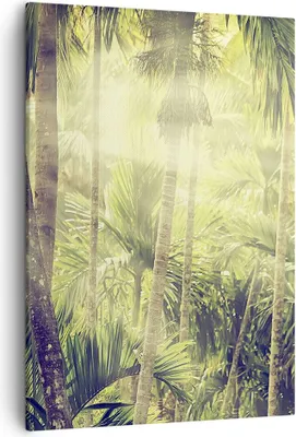 Produktbild von Bild auf Leinwand - Leinwandbild - Einteilig - Morgendämmerung Dschungel Palmen - 50x70cm - Wand Bild - Wandbilder - Leinwanddruck - Wanddekoration - Leinwand bilder - Wandbild - PA50x70-4450