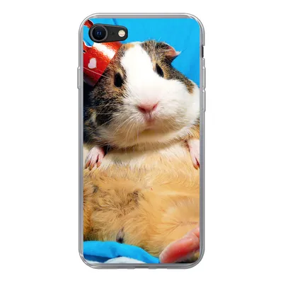 Produktbild von MuchoWow® Handyhülle Schutzhülle Hülle für iPhone 8 Meerschweinchen - Lustig - Krone - Kinder - Jungen - Mädchen - Kind Silikon Softcase Handy Hülle - Schutzhaube