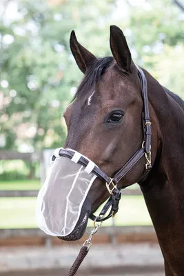 Produktbild von Harry´s Horse Nasennetz 5 Einheiten Weiß Pony Weiß Pony