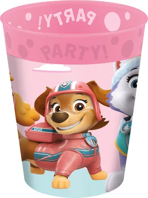 Produktbild von 4x Paw Patrol Skye and Everest Mikro-Premium-Kunststoffbecher-Set 250 ml