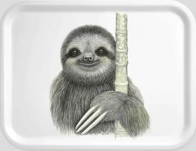Image de Charlotte Nicolin Petit plateau Shugi, support, paresseux, bois de hêtre laminé, 20 x 27 cm, TRSM8774
