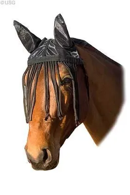 Produktbild von USG Fliegenhaube mit Ohrenschutz und Fransenband - schwarz - Pony