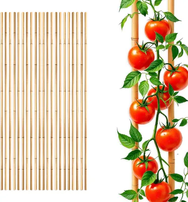 Produktbild von Pflanzstab Bambusstab 105 cm x 8-10mm - 20er Set - Bambus Rankhilfe Pflanzstab Tonkinstab (2x 10 Stück)