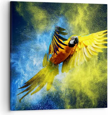 Produktbild von Bild auf Leinwand - Leinwandbild - Papagei Vogel Feder - 70x70cm - Wand Bild - Wanddeko - Wandbilder - Leinwanddruck - Bilder - Kunstdruck - Wanddekoration - Leinwand bilder - Wandkunst - AC70x70-3666