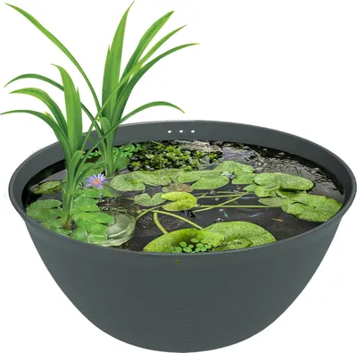 Productafbeelding van SuperFish Medaka bowl 600 | Japanse mini vijverkom 36 liter | Ø60 x H25 cm | voor Medaka en waterplanten