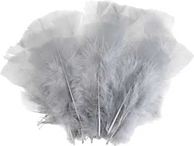20 Natur-Putenfedern, 11-17cm, Farbwahl, unterschiedliche Farben - DIY Deko Federn hellgrau