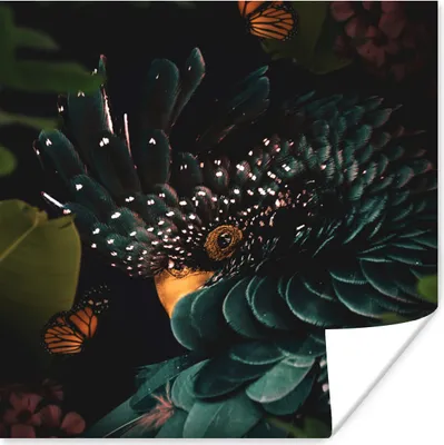 Produktbild von MuchoWow® Poster Kakadu - Schmetterlinge - Grün 75x75 cm - Wand Dekoration
