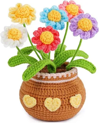 Produktbild von Häkelset zum Selbermachen Astern, Bunt, Schwierigkeitsgrad 6/7, 16 cm hoch, 8 cm breit