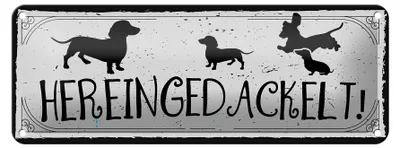 Produktbild von Blechschild Spruch 27x10cm Hereingedackelt! Dekoration