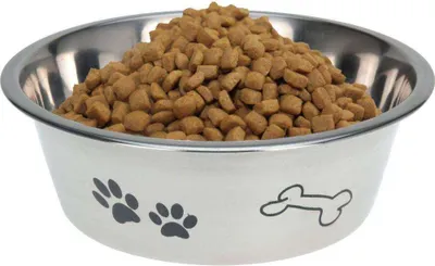 Obrázek produktu pro ORION miska na krmení a pití DOG BOWL z OCELI na vodu a krmivo 21 cm 1,5 l
