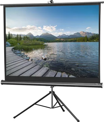 Produktbild von celexon 1090021 - 183 cm - 2,44 m - 4:3 - Schwarz - Weiß