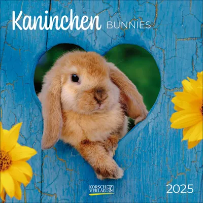 Produktbild von Kaninchen 2025