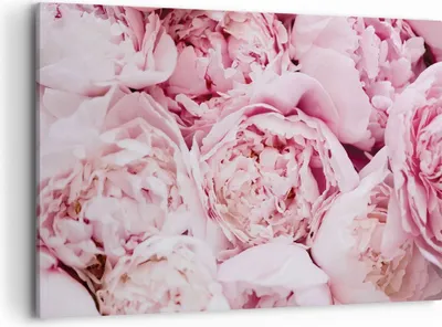 Produktbild von Bild auf Leinwand - Leinwandbild - Einteilig - Blumenstrauß Blumen Rosa - 100x70cm - Wand Bild - Wanddeko - Wandbilder - Leinwanddruck - Bilder - Wanddekoration - Leinwand bilder - AA100x70-5001