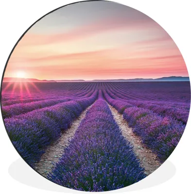 Produktbild von MuchoWow® Aluminium Wandkreis Lavendel - Lila - Blumen Ø 60 cm Wanddeko Modern Wohnzimmer - Wand Kreis - Wandbild - Schlafzimmer - Aluminium Bild - Kinderzimmer - Wohnzimmer Dekoration - Wandschmuck