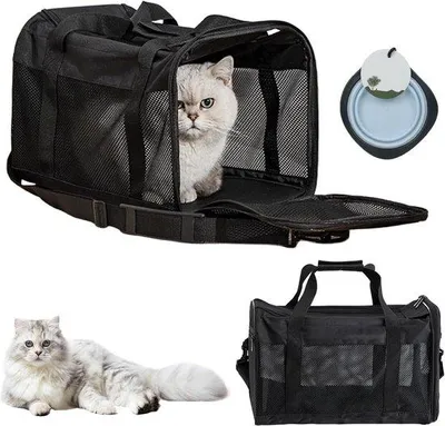 Obrázok produktu pre Skladací prepravný box Priedušný prenosný box pre mačky a psov 45 x 30 x 30 cm - nosnosť 77 kg