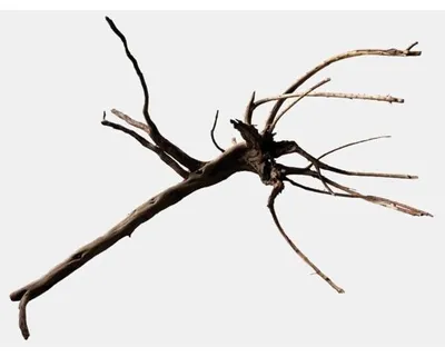 Productafbeelding van SuperFish Black Spiderwood M