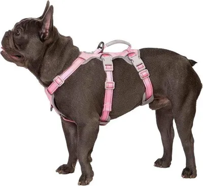 Produktbild von Famanu Hundegeschirr Ausbruchsicher - Vollständig reflektierendes Geschirr mit gepolstertem Griff - Verstellbar und langlebig - Für mittelgroße Hunde