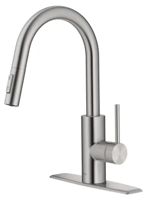 Küchenarmatur mit Pull-Down-Sprüher, 1-Loch, Chrom