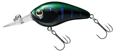 Image de Daiwa Steez Crank 100F-SR 54mm Monster Gill Crankbait sans plomb